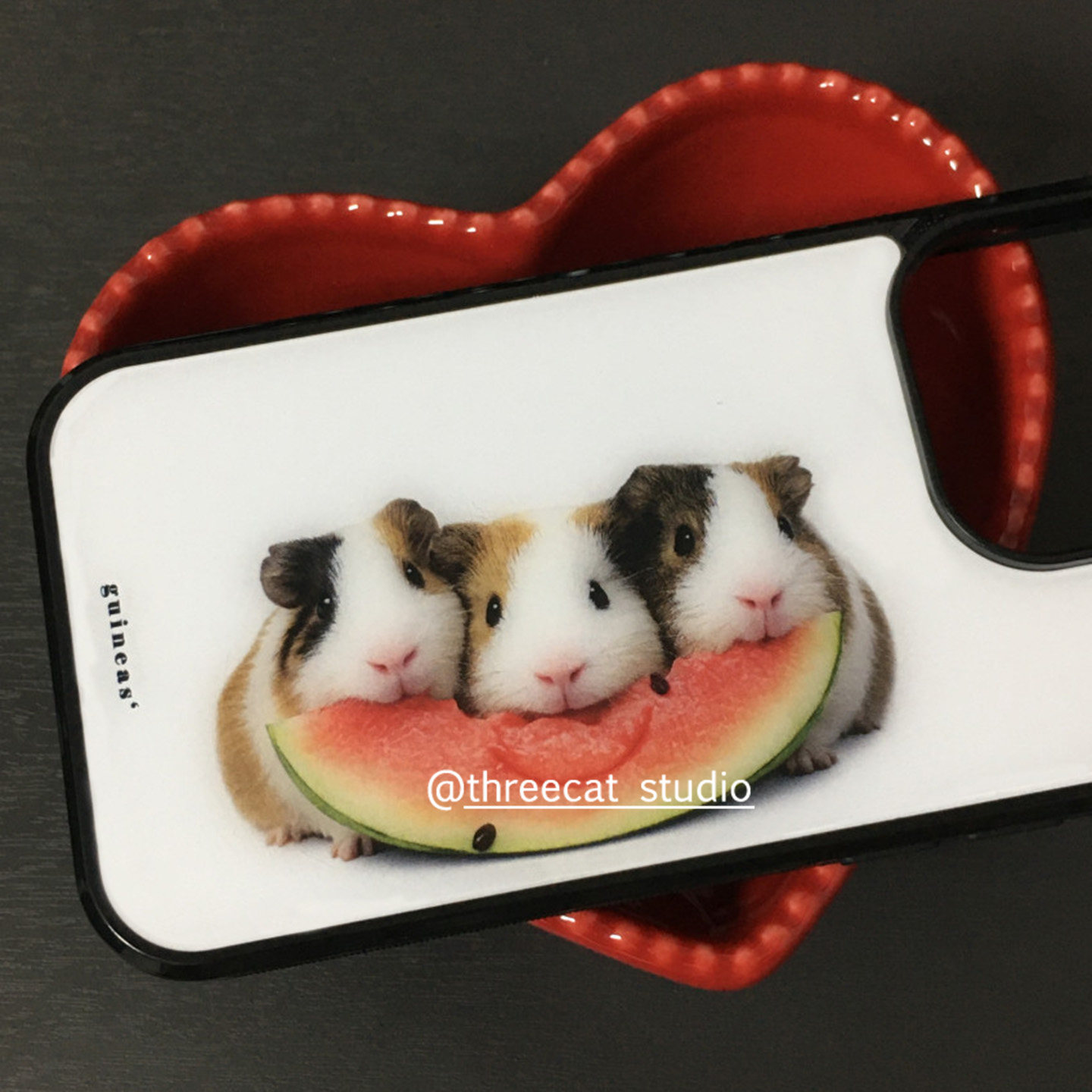 Casing HP Korea Ins Guinea Pig - Phone Accessories Kiosk ulasan dan harga